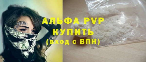 гидра Богданович