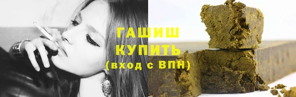 гидра Богданович