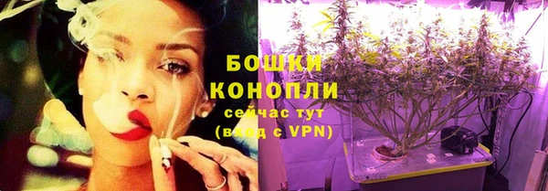 гидра Богданович