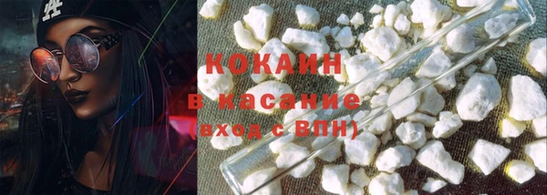 гидра Богданович