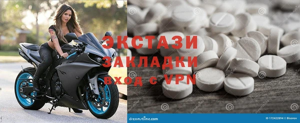 гидра Богданович