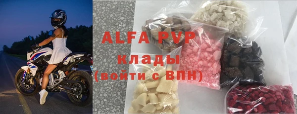 гидра Богданович