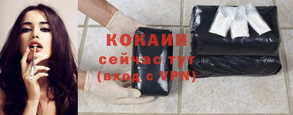 гидра Богданович